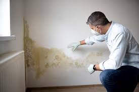 Mold Removal & Remediation